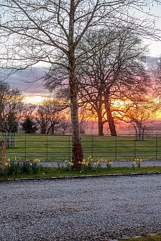 MORTON_HALL_GARDENS_WORCESTERSHIRE_SUNSET_WEST_TREES_LAWN_BORROWED_LANDSCAPE_FENCES_FENCING_DAFFODIL