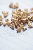 BROWN FLOWERS, OXFORDSHIRE: ANNA BROWN, SEEDS ON NOTEPAD BY WINDOWSILL, SEEDS OF SCABIOUS