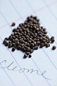 BROWN FLOWERS, OXFORDSHIRE: ANNA BROWN, SEEDS ON NOTEPAD BY WINDOWSILL, SEEDS OF CLEOME