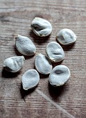 BROWN FLOWERS, OXFORDSHIRE: ANNA BROWN, SEEDS BY WINDOWSILL, SEEDS OF SQUASH