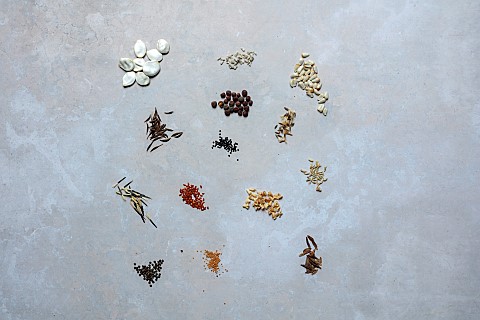 BROWN_FLOWERS_OXFORDSHIRE_ANNA_BROWN_CHILTERN_SEEDS_SEEDS__SQUASH_TAGETES_ZINNIA_SWEET_PEA_CELOSIA_S