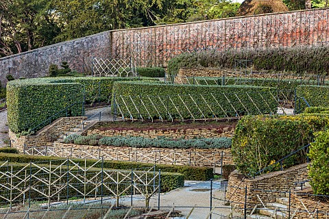 THE_NEWT_IN_SOMERSET_WINTER_MARCH_WALLED_GARDEN_ESPALIERED_APPLES_HEDGES_HEDGING_WALLS