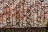 THE NEWT IN SOMERSET: WINTER, MARCH, WALLED GARDEN, ESPALIERED APPLES AGAINST WALL