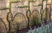 THE NEWT IN SOMERSET: WINTER, MARCH, WALLED GARDEN, ESPALIERED CURRANTS AGAINST OUTSIDE WALL OF THE WALLED GARDEN
