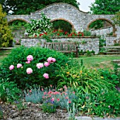 PEONIES DOMINATE THE BORDER AT JENKYN PLACE GARDEN  HAMPSHIRE. STONE ARCHES AND A SEAT IN THE BACKGROUND.
