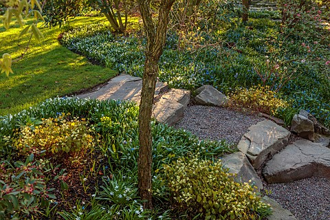 MORTON_HALL_GARDENS_WORCESTERSHIRE_STEPS_UP_TO_LAWN_BORDERS_SCILLA_SIBERICA_SPRING_APRIL