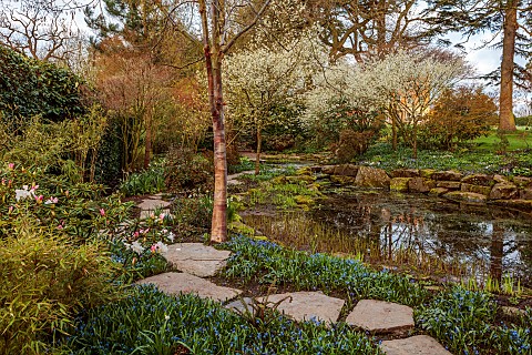 MORTON_HALL_GARDENS_WORCESTERSHIRE_THE_STROLL_GARDEN_PATHS_RHODODENDRONS_BETULA_WAKEHURST_PLACE_CHOC