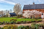 MORTON HALL GARDENS, WORCESTERSHIRE: WEST GARDEN, APRIL, BLOSSOM, WHITE BLOOMS, FLOWERS, CHERRY, TREES, PRUNUS INCISA THE BRID