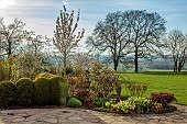 MORTON HALL GARDENS, WORCESTERSHIRE: WEST GARDEN, LAWN, TERRACE, CLIPPED TOPIARY BOX, BUXUS, HELLEBORES, APRIL