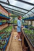 BROWN FLOWERS, OXFORDSHIRE: ANNA BROWN IN HER GREENHOUSE WHICH IS FILLED WITH SEEDLINGS IN TRAYS, APRIL