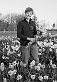 ESKER FARM DAFFODILS, NORTHERN IRELAND: OWNER JULIE HARDY, ROWS OF DAFFODILS AT THE NURSERY, DAFFODILS, FLOWERS, FLOWERING, BLOOMS, BLOOMING, APRIL, BULBS, FIELDS