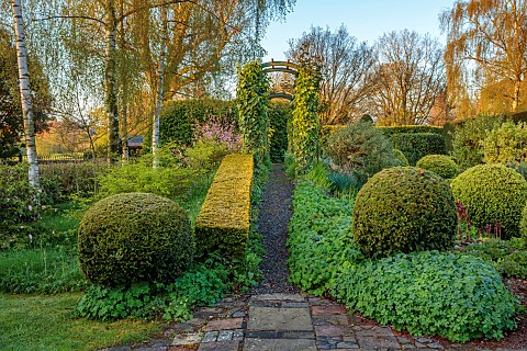 THE_LASKETT_HEREFORDSHIRE_APRIL_RAISED_WALKWAY_CLIPPED_TOPIARY_ARCHES_BIRCHES_PATHS