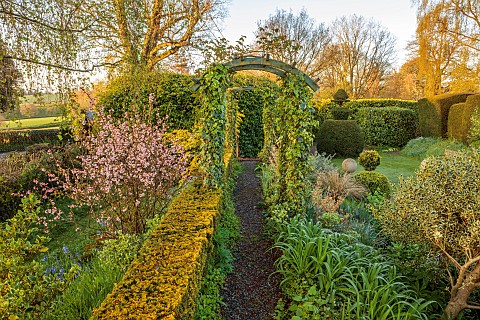 THE_LASKETT_HEREFORDSHIRE_APRIL_RAISED_WALKWAY_PATH_WOODEN_ARCHES_PINK_FLOWERED_CHAENOMELES
