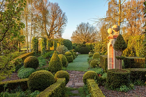 THE_LASKETT_HEREFORDSHIRE_APRIL_RAISED_WALKWAY_CLIPPED_TOPIARY_ARCHES_BIRCHES_PATHS_MUFFS_PARADE