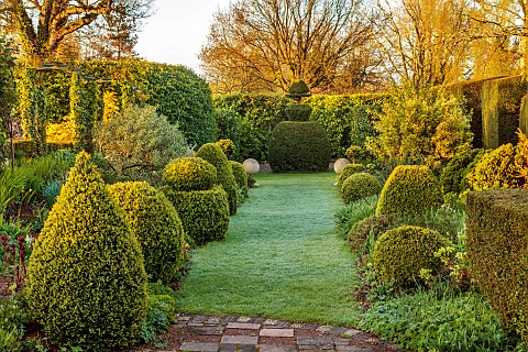 THE_LASKETT_HEREFORDSHIRE_APRIL_LAWN_CLIPPED_TOPIARY_MUFFS_PARADE_PATH