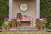 THE LASKETT, HEREFORDSHIRE: APRIL, THE V AND A TEMPLE, PLAQUE BY SIMON VERITY IN TEMPLE, CONTAINERS OF TULIPS, TULIPA CANDY PRINCE, TULIPA PURPLE PRINCE, BULBS, SEAT