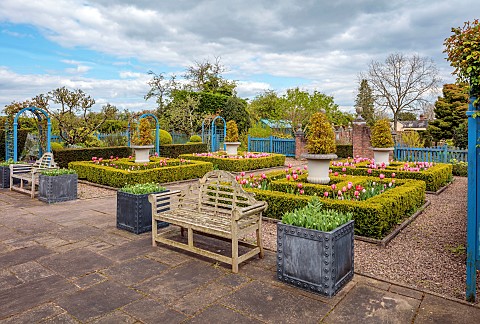 THE_LASKETT_HEREFORDSHIRE_APRIL_THE_COLONNADE_COURT_CLIPPED_BOX_PARTERRE_BLUE_WOODEN_ARCH_TULIPS_PIN