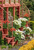 THE LASKETT, HEREFORDSHIRE: APRIL, HOWDAH COURT, HOWDAH VIEWING PLATFORM, TULIPS IN CONTAINERS