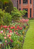 CHENIES MANOR, BUCKINGHAMSHIRE: APRIL, TULIPS, BULBS, BORDER UP TO MANOR WITH TULIPS, LAWN
