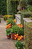 THE LASKETT, HERFEFORDSHIRE: DESIGNER ROY STRONG, APRIL, VIEW TO THE WILLIAM SHAKESPEARE MEMORIAL, BALUSTRADES, TERRACOTTA CONTAINERS WITH TULIPS