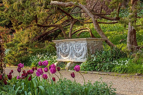 IFORD_MANOR_WILTSHIRE_APRIL_SUNSET_TERRACE_CLASSICAL_GARDEN_URNS_POTS_CONTAINERS_TULIPS_ITALIANATE_D