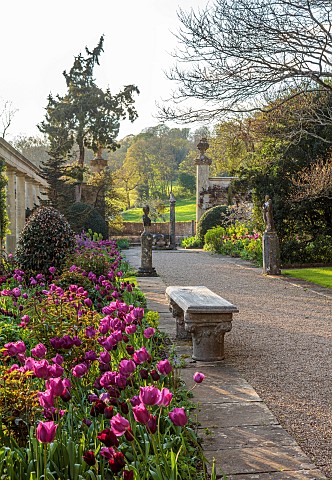 IFORD_MANOR_WILTSHIRE_APRIL_SUNSET_TERRACE_CLASSICAL_GARDEN_STATUES_BENCHES_SEATS_TULIPS_ITALIANATE_