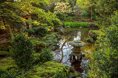 IFORD_MANOR_WILTSHIRE_APRIL_THE_JAPANESE_GARDEN_WATER_MOSS_POOL_POND_CHERRY_TREE_JAPAN_ROCKS