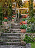IFORD MANOR, WILTSHIRE: APRIL: STEPS TO TOP TERRACE, TERRACOTTA CONTAINERS WITH TULIPS