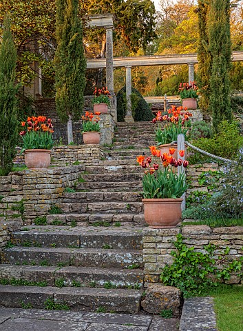 IFORD_MANOR_WILTSHIRE_APRIL_STEPS_TO_TOP_TERRACE_TERRACOTTA_CONTAINERS_WITH_TULIPS