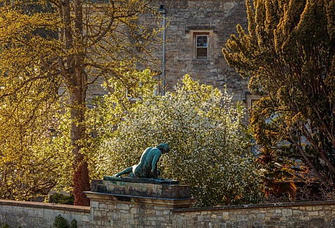 IFORD_MANOR_WILTSHIRE_APRIL_VIEW_FROM_THE_KITCHEN_VEGETABLE_GARDEN_WALLS_STATUE_OF_DYING_GAUL_BLOSSO