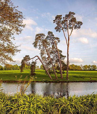FOSCOTE_MANOR_BUCKINGHAMSHIRE_APRIL_SPRING_THE_LAKE_AND_TREES_ROMANTIC_LANDSCAPE
