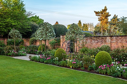 MORTON_HALL_GARDENS_WORCESTERSHIRE_TULIPS_SOUTH_GARDEN_WALLS_WALLED_GARDEN_COUNTRY_PATHS_LAWNS