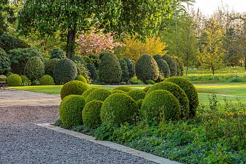 MORTON_HALL_GARDENS_WORCESTERSHIRE_MAY_SPRING_COUNTRY_GARDEN_LAWN_CLIPPED_TOPIARY_BOX_BALLS_GREEN