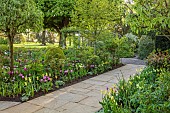 MORTON HALL GARDENS, WORCESTERSHIRE: MAY, SPRING, COUNTRY, GARDEN, SOUTH GARDEN, BORDER WITH TULIPS, PATHS
