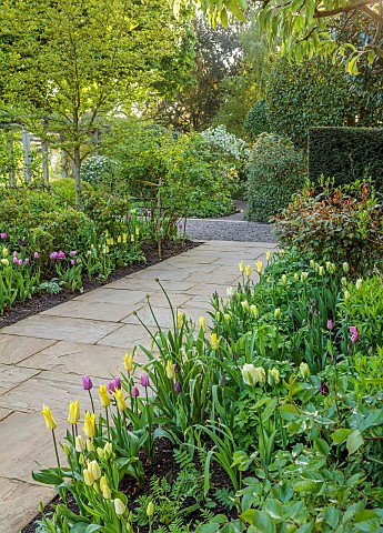 MORTON_HALL_GARDENS_WORCESTERSHIRE_MAY_SPRING_COUNTRY_GARDEN_SOUTH_GARDEN_BORDER_WITH_TULIPS_PATHS