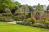 MORTON HALL GARDENS, WORCESTERSHIRE: MAY, SPRING, COUNTRY, GARDEN, SOUTH GARDEN, BORDER, TULIPS, PATHS, LAWN, PYRUS SILVER SAILS, WALLS, WALLED