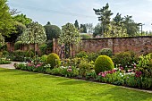 MORTON HALL GARDENS, WORCESTERSHIRE: MAY, SPRING, COUNTRY, GARDEN, SOUTH GARDEN, BORDER, TULIPS, PATHS, WALLS, WALLED, PYRUS SIVER SAILS