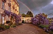 IFORD MANOR, WILTSHIRE: MAY, SPRING, PURPLE FLOWERS OF WISTERIA SINENSIS IN FRONT OF THE MANOR HOUSE, RAINBOW