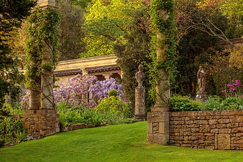 IFORD_MANOR_WILTSHIRE_MAY_SPRING_PURPLE_FLOWERS_OF_WISTERIA_SINENSIS_ON_GRAND_TERRACE_LAWN