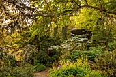 IFORD MANOR, WILTSHIRE: MAY, SPRING, WOODLAND, PATH, VIBURNUM, SOLOMONS SEAL, TREES