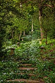 IFORD MANOR, WILTSHIRE: MAY, SPRING, STEPS COVERED IN RANSOMES, WILD GARLIC LEADING TO STONE COLUMN KING EDWARD V11