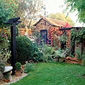 SMALL GARDEN IN AUTUMN DESIGN: CECIL AND YVONNE BICKNELL