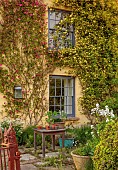 SILVER STREET FARM, DEVON: HOUSE FRONT WITH CLIMBERS, ROSA CHINENSIS MUTABILIS, ROSA BANKSIAE LUTEA, CLIMBING, MAY, FRONT GARDEN, COUNTRY