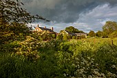 SILVER STREET FARM, DEVON: THE HOUSE, MAY, SPRING, COW PARSLEY, ANTHRISCUS SYLVESTRIS, STORM