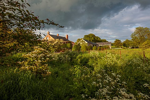 SILVER_STREET_FARM_DEVON_THE_HOUSE_MAY_SPRING_COW_PARSLEY_ANTHRISCUS_SYLVESTRIS_STORM