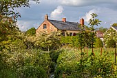 SILVER STREET FARM, DEVON: THE HOUSE, MAY, SPRING, COW PARSLEY, ANTHRISCUS SYLVESTRIS, STREAM