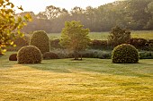 SILVER STREET FARM, DEVON: MAY, SPRING, COUNTRY GARDEN, HEDGES, HEDGING, CLIPPED TOPIARY BEECH, BORDERS, DAWN, SUNRISE