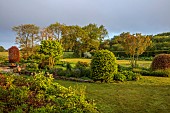 SILVER STREET FARM, DEVON: MAY, BORDERS,SPRING, COUNTRY GARDEN, LAWN, CLIPPED BEECH DOMES
