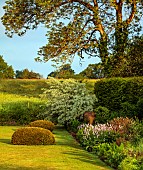 SILVER STREET FARM, DEVON: MAY, BORDERS,SPRING, COUNTRY GARDEN, LAWN, CLIPPED YEW, MEADOW, PERSICARIA BISTORTA SUPERBA, HEDGES, HEDGING