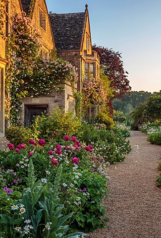 ASTHALL_MANOR_OXFORDSHIRE_THE_FRONT_OF_THE_MANOR_WITH_ROSES_ROSA_CECILE_BRUNNER_PAEONIA_KARL_ROSENFI